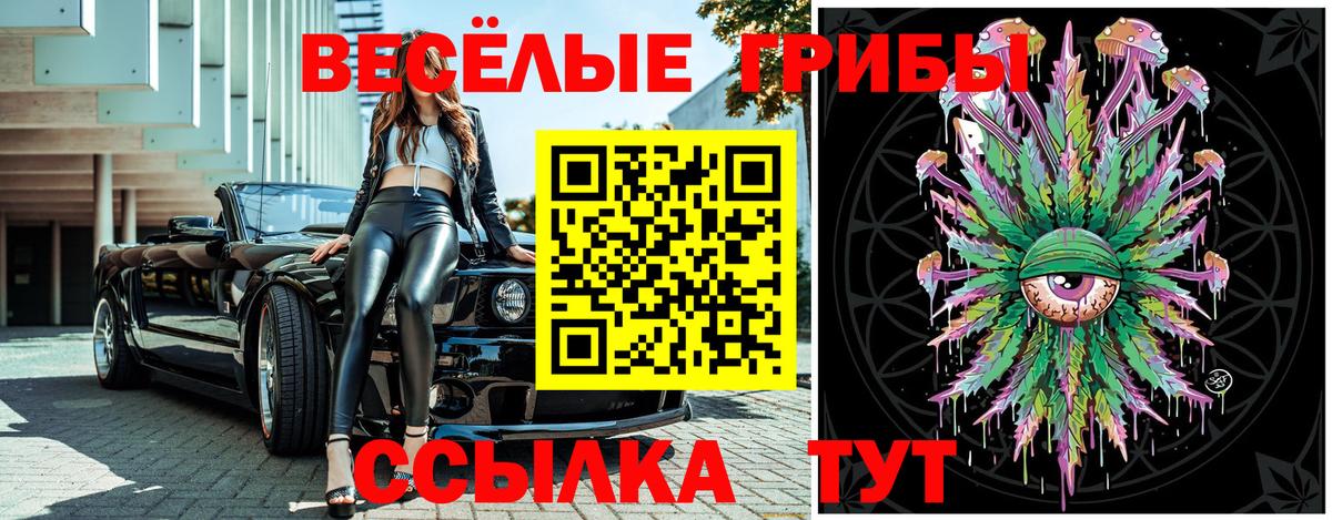 Галлюциногенные грибы Cubensis Нягань