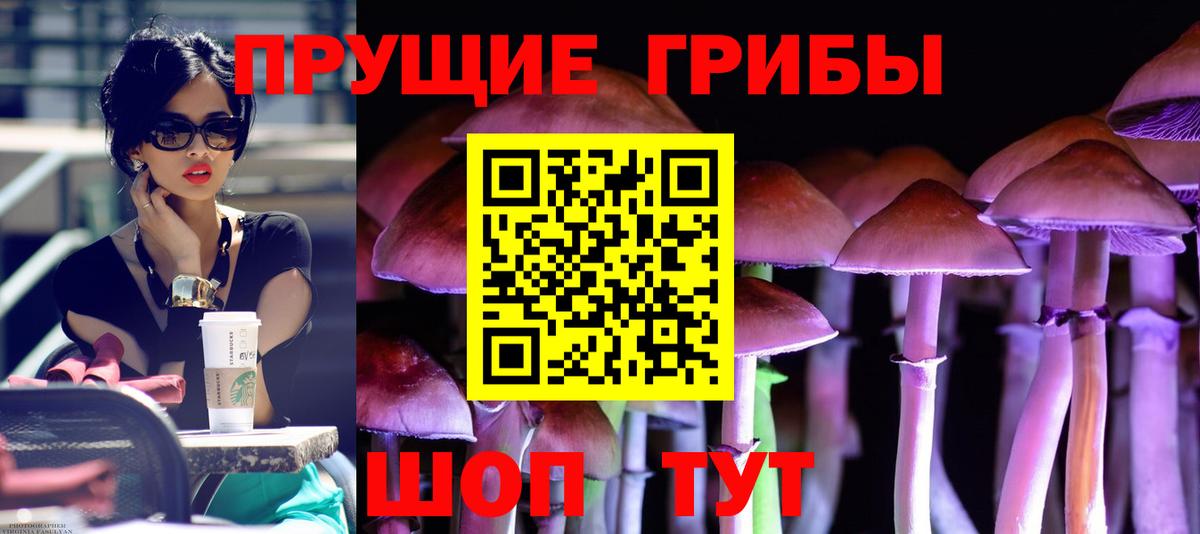 Нягань  Псилоцибиновые грибы прущие грибы  Вход с VPN 